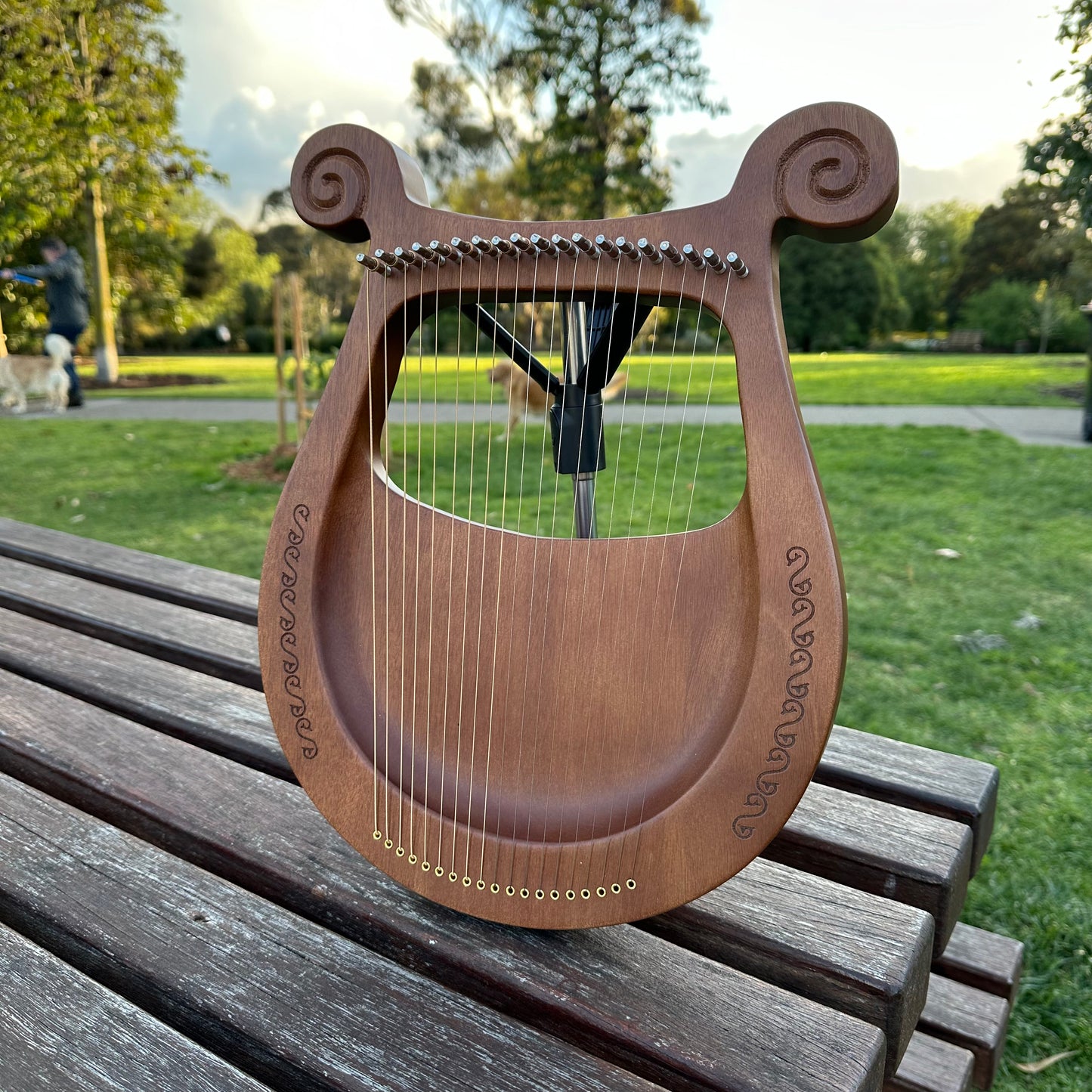 19 String Lyre Harp